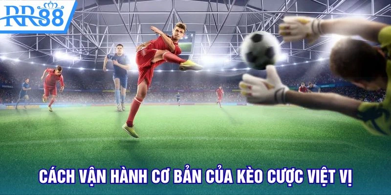 Cách vận hành cơ bản của kèo cược việt vị