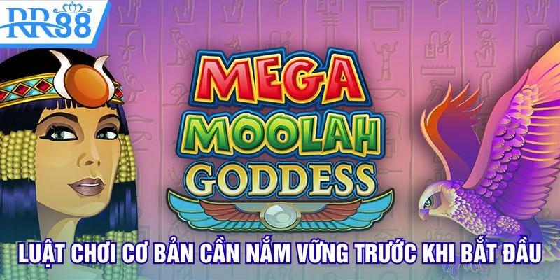 Luật chơi cơ bản cần nắm vững trước khi bắt đầu