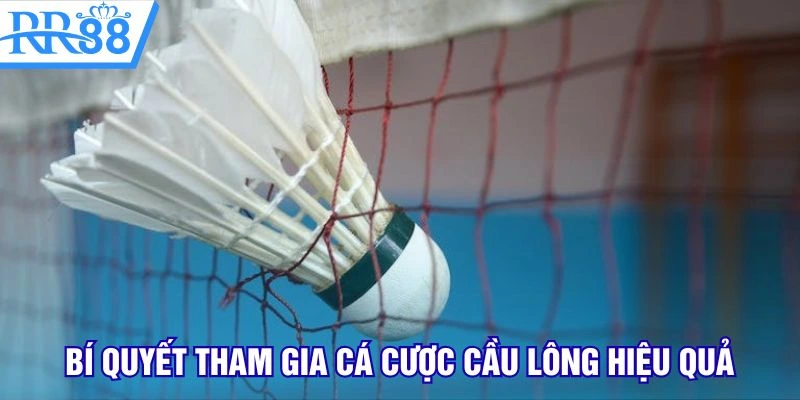 Bí quyết tham gia cá cược cầu lông hiệu quả