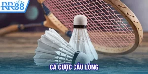 cá cược cầu lông