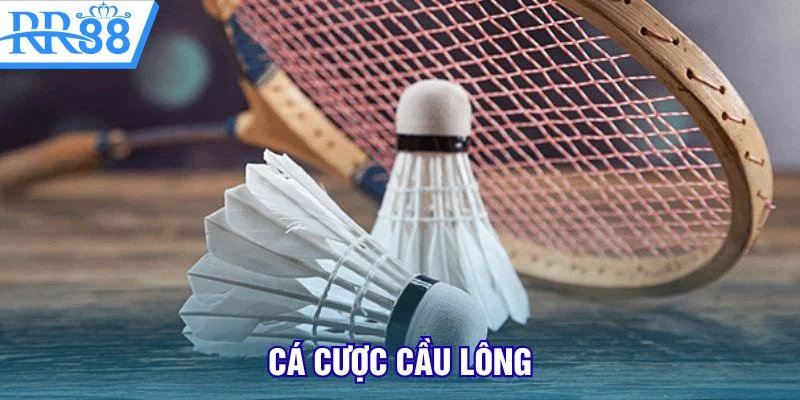 cá cược cầu lông
