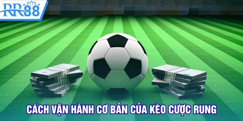 Cách vận hành cơ bản của kèo cược rung