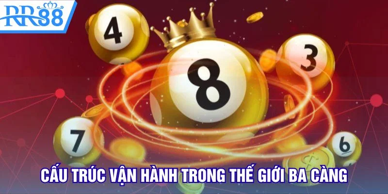 Cấu trúc vận hành trong thế giới ba càng