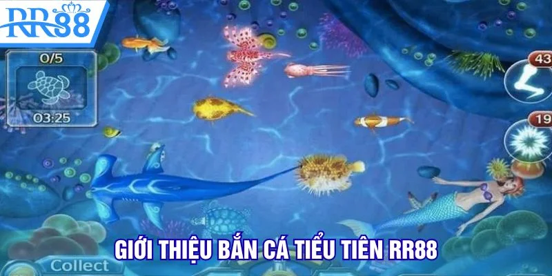 Giới thiệu bắn cá tiểu tiên RR88