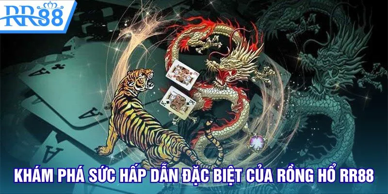 Khám phá sức hấp dẫn đặc biệt của Rồng Hổ RR88
