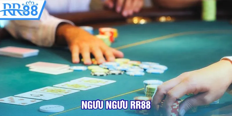 ngưu ngưu rr88