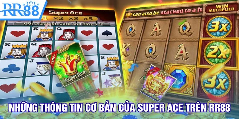Những thông tin cơ bản của Super Ace trên RR88