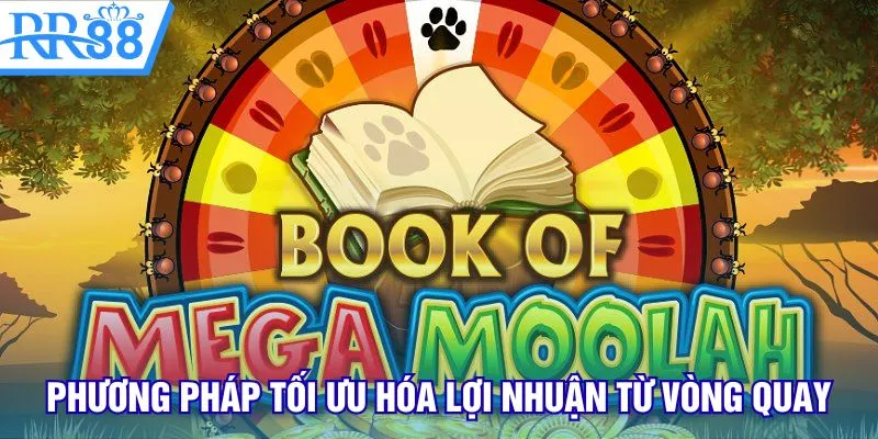 Những phương pháp tối ưu hóa lợi nhuận từ vòng quay