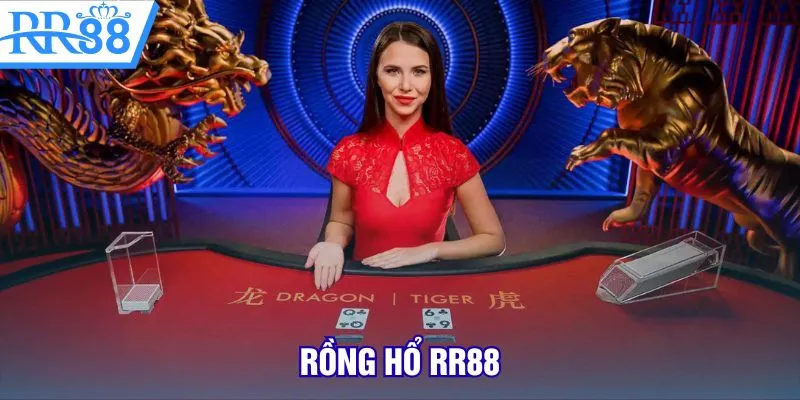 rồng hổ rr88