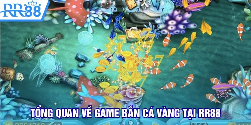 Tổng quan về game bắn cá vàng tại RR88